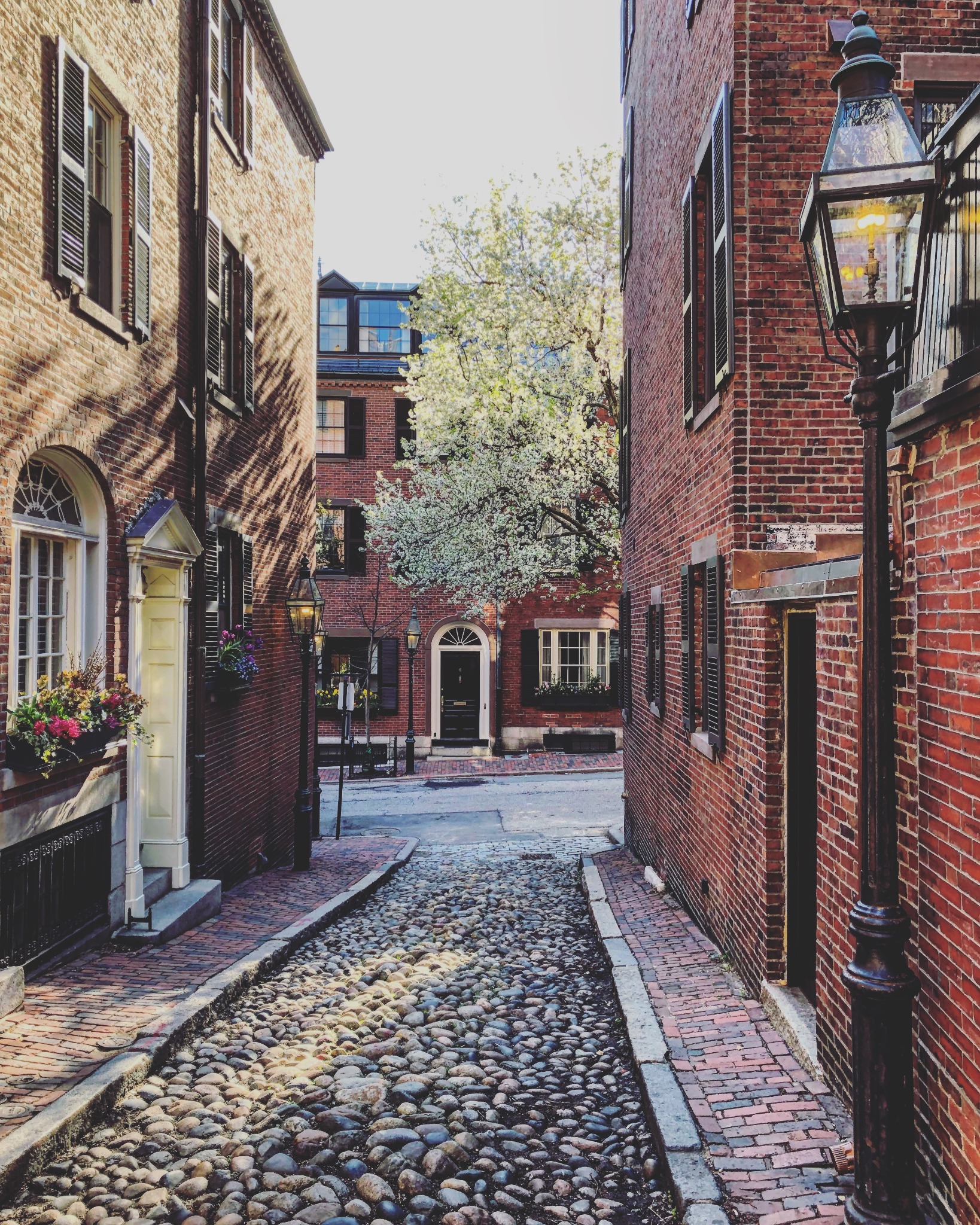 Cobblestones and historic brick homes on Acorn Street in Boston’s Beacon Hill neighborhood